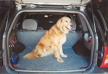 Cargo Liner in Use (Amber)