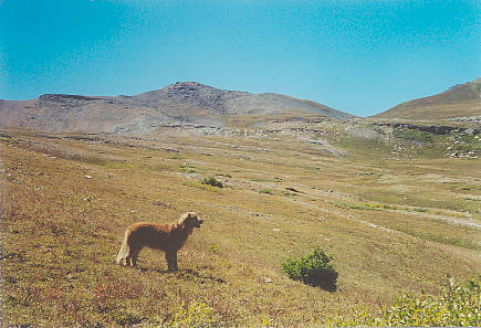 Silverton-Rico Trail 1