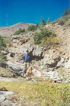 Silverton-Rico Trail 6