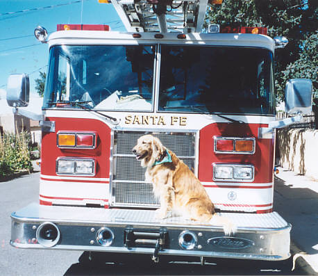 SFFD Honorary Mascot